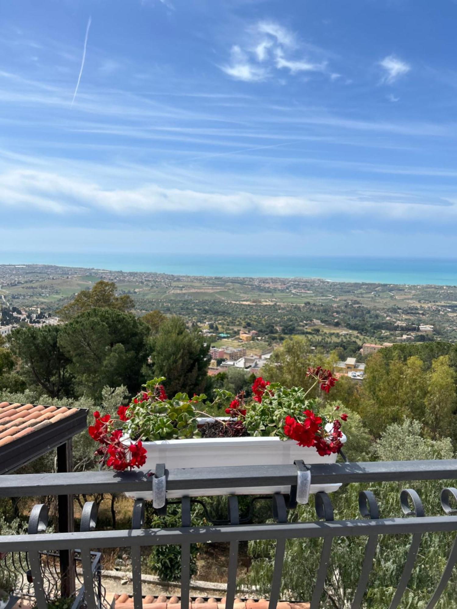 La Casa Di Pippo Flora